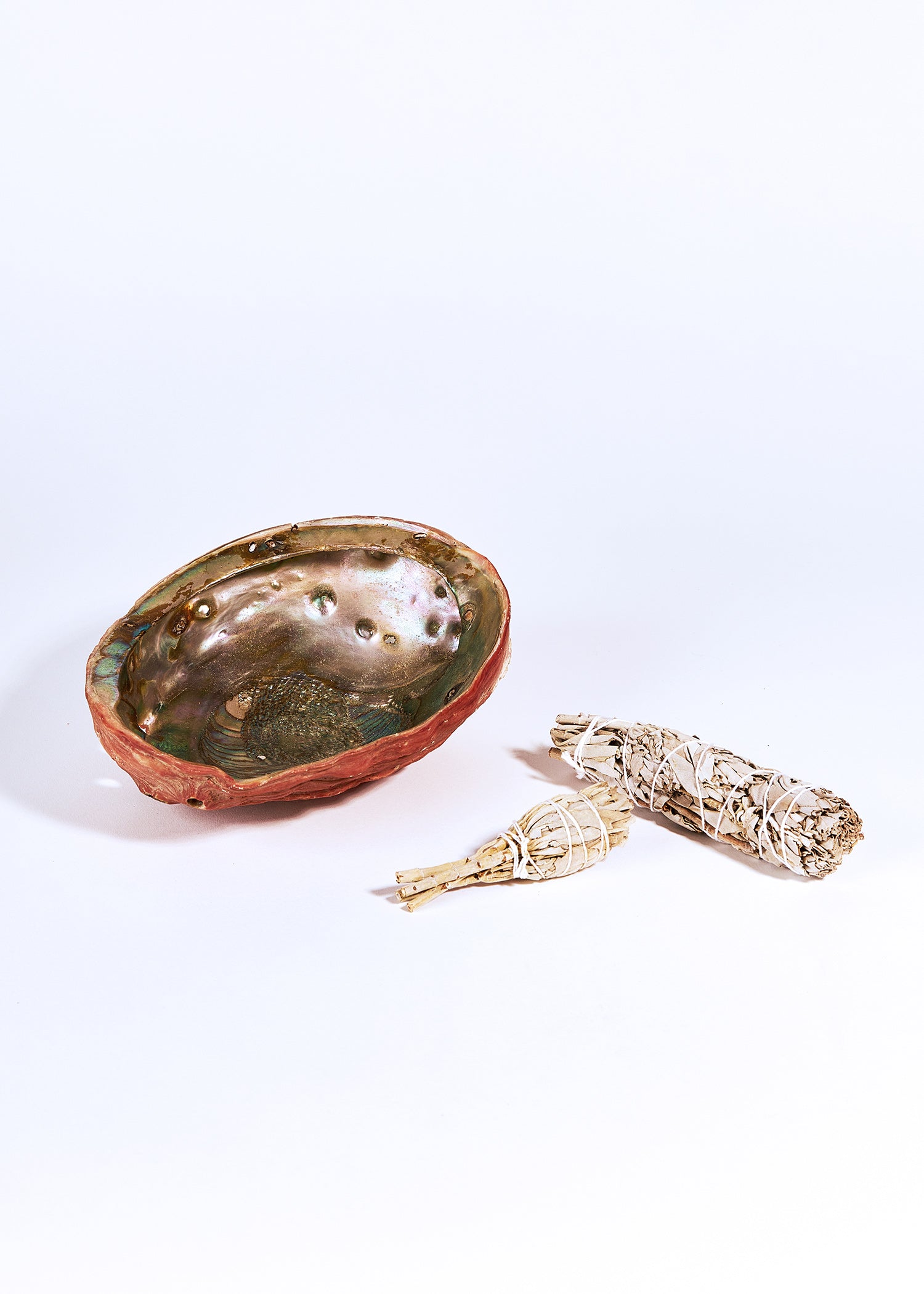 Salie Smudge Stick Mini