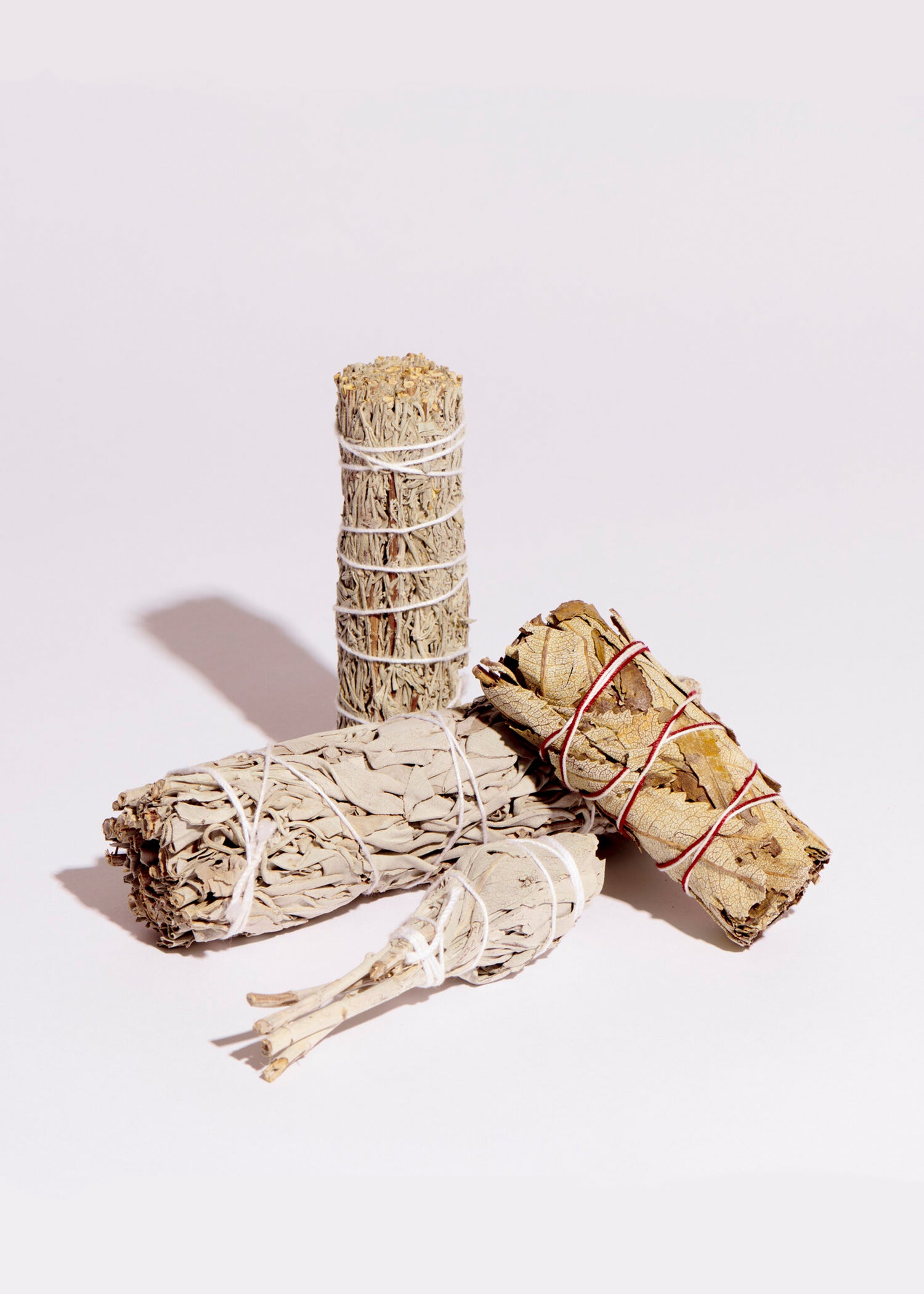 Salie Smudge Stick Mini